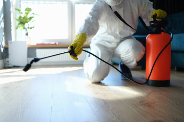 Reliable Sewage Cleanup contractor in Oak Park, MI by Trauma Clean Pros